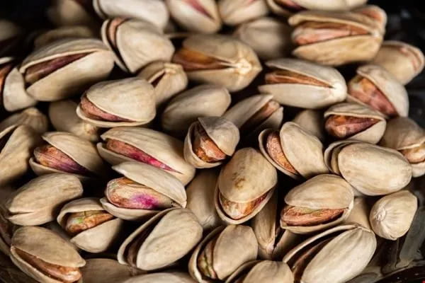 فروش پسته رفسنجان تبریز + قیمت خرید به صرفه